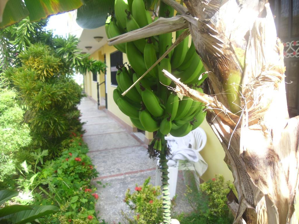 Residencial El Mirador Aparthotel Boca Chica Exterior foto